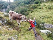 18 Una carezza ben accolta...